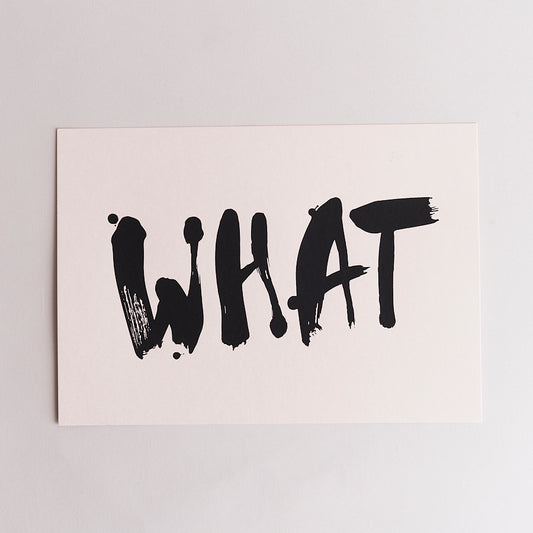 Fujicago Screen Print What Black